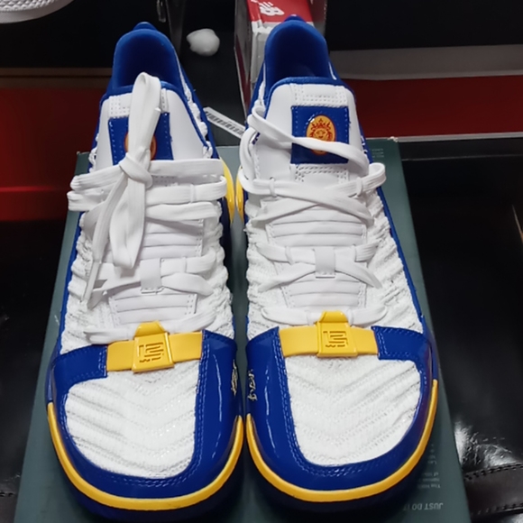 lebron xvi sb